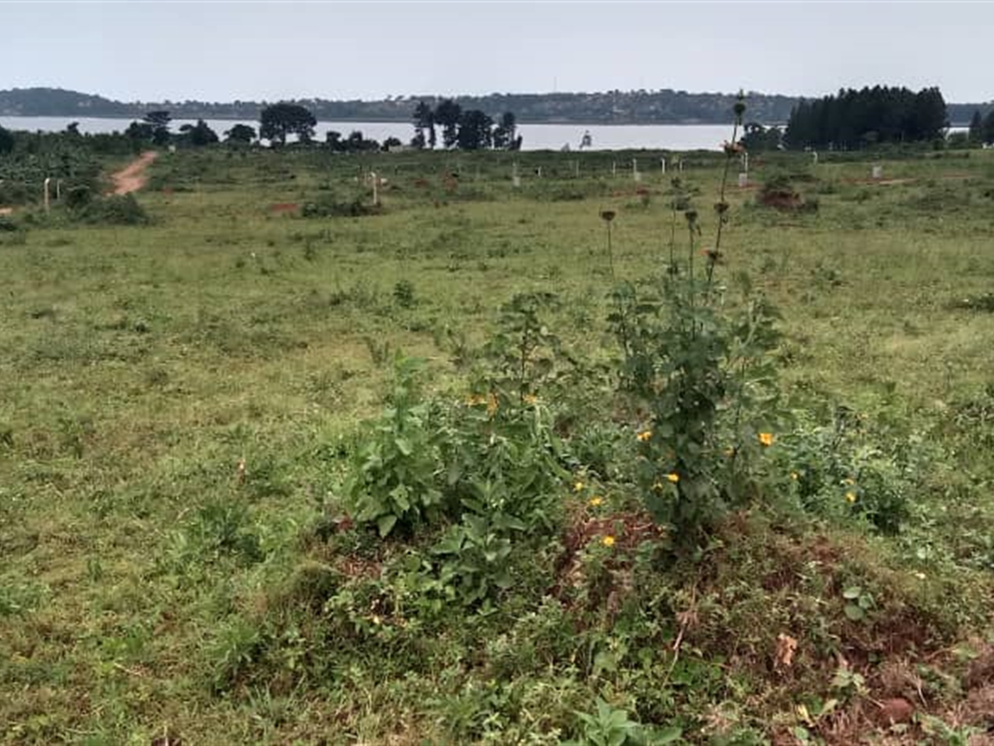 Residential Land for sale in Bwelenga Wakiso