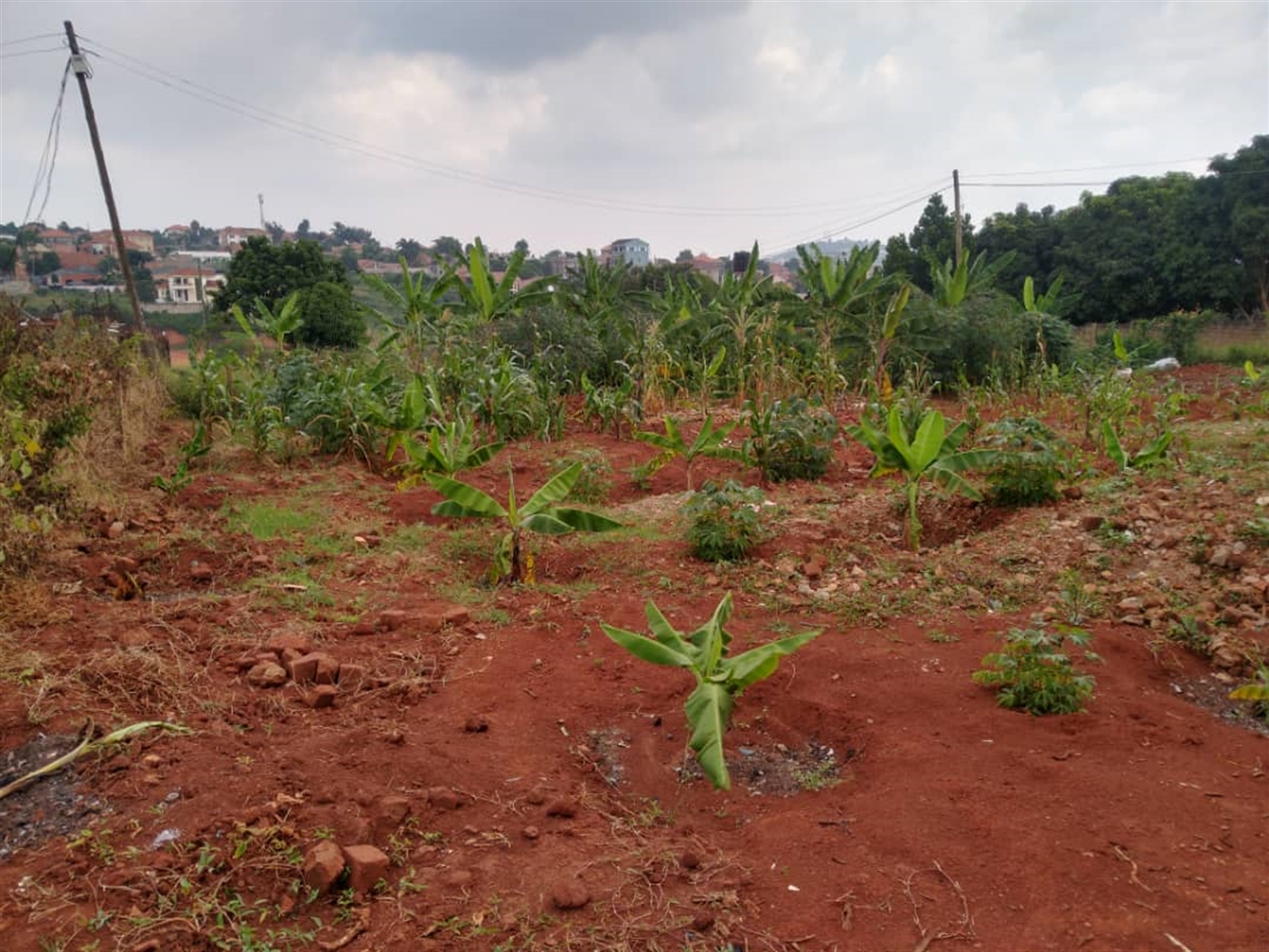 Residential Land for sale in Najjera Wakiso