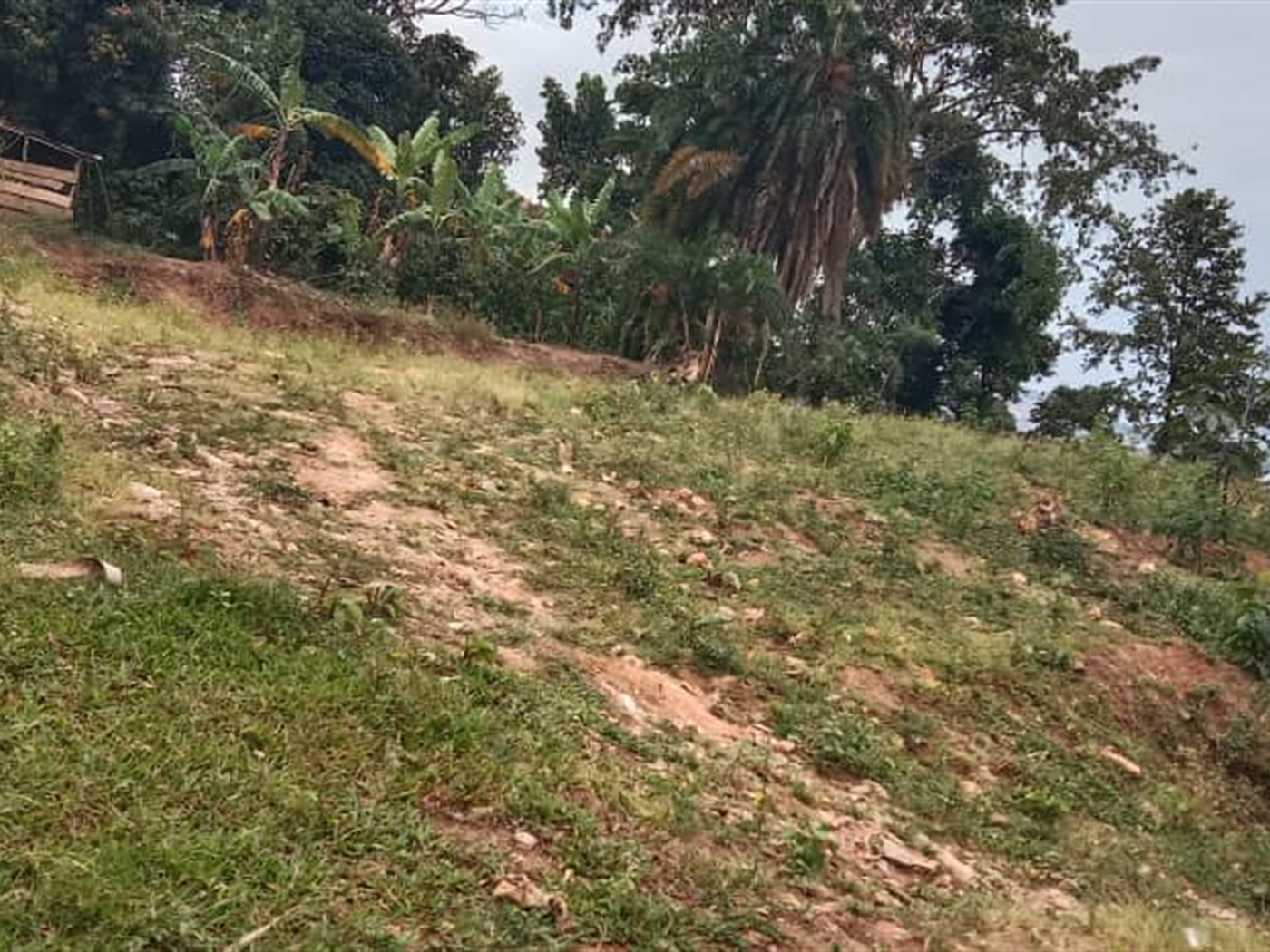 Residential Land for sale in Bweya Wakiso