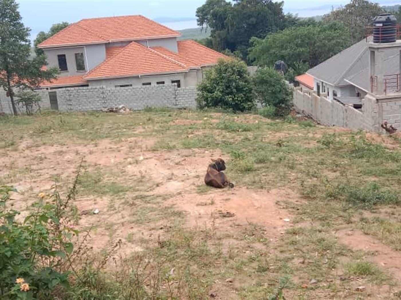 Residential Land for sale in Bweya Wakiso