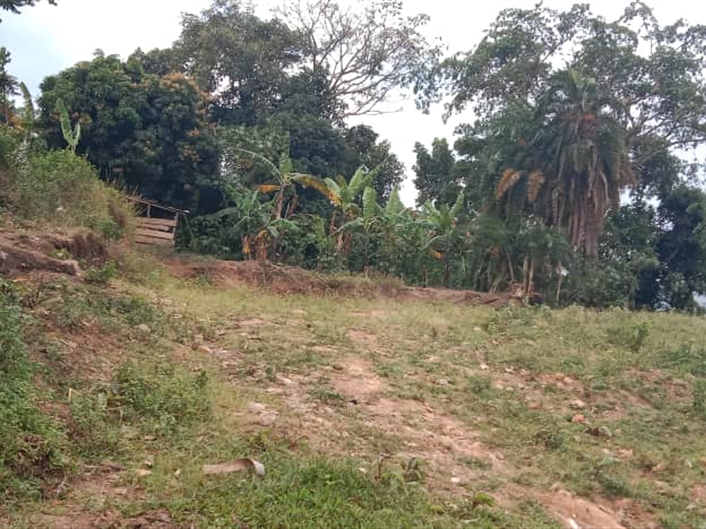 Residential Land for sale in Bweya Wakiso