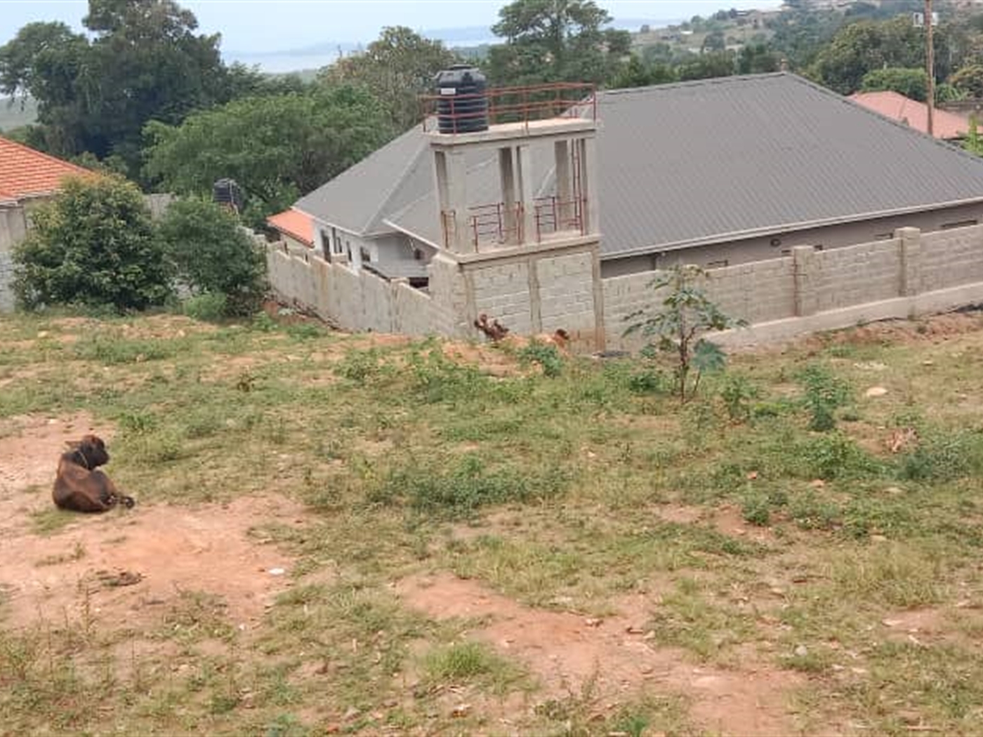 Residential Land for sale in Bweya Wakiso