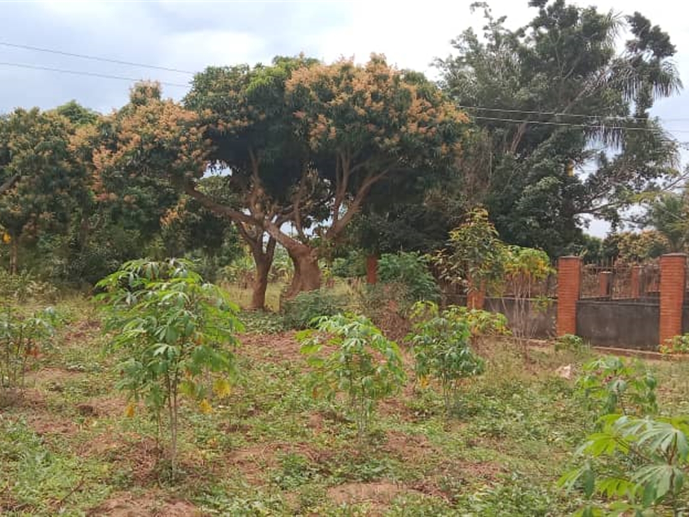 Residential Land for sale in Bweya Wakiso