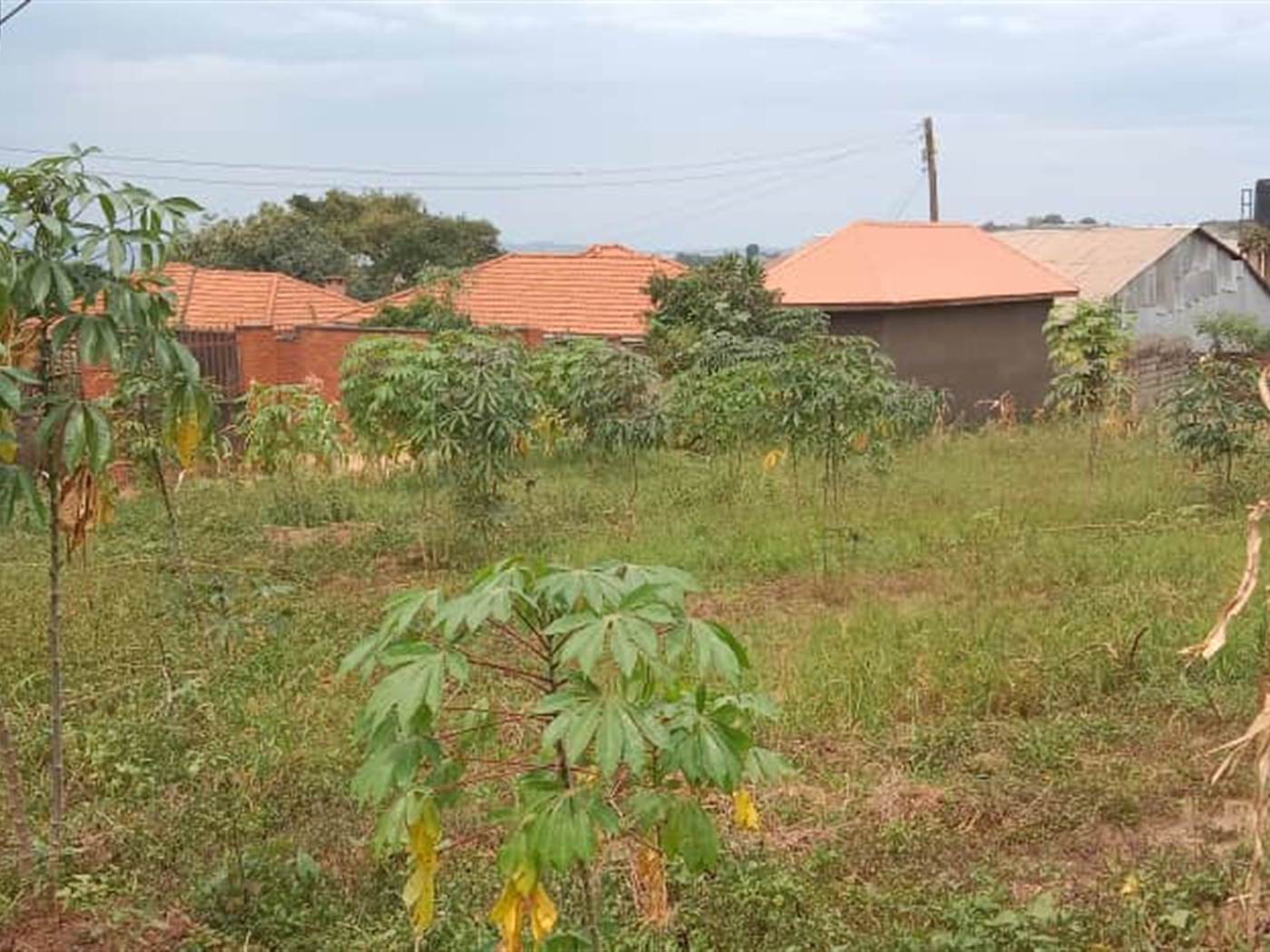 Residential Land for sale in Bweya Wakiso