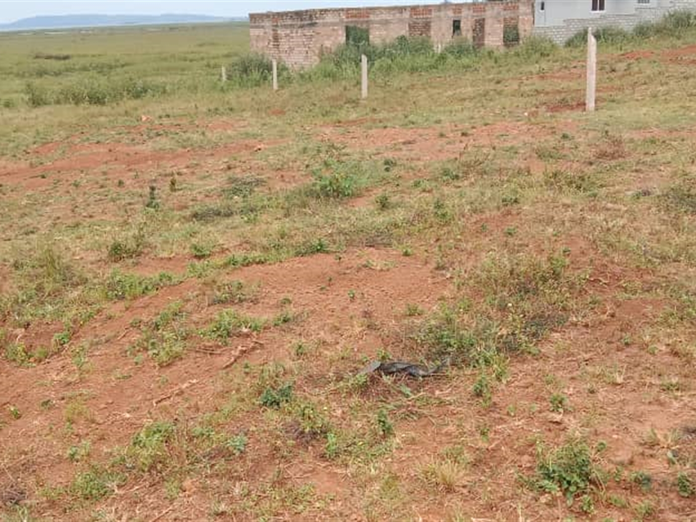 Residential Land for sale in Janyi Wakiso