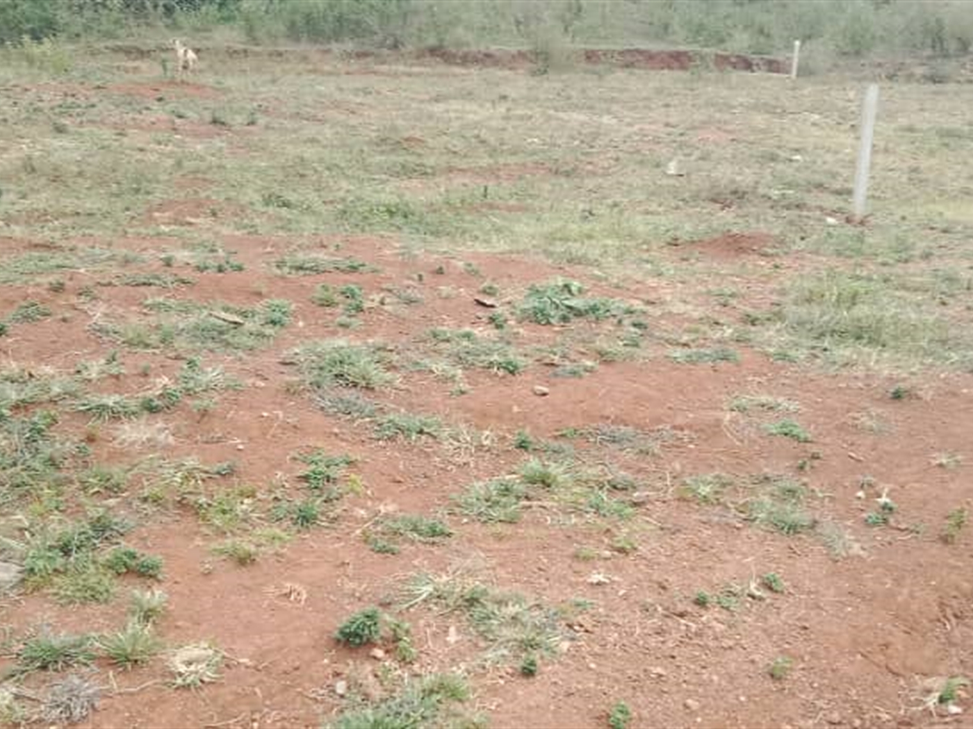 Residential Land for sale in Janyi Wakiso