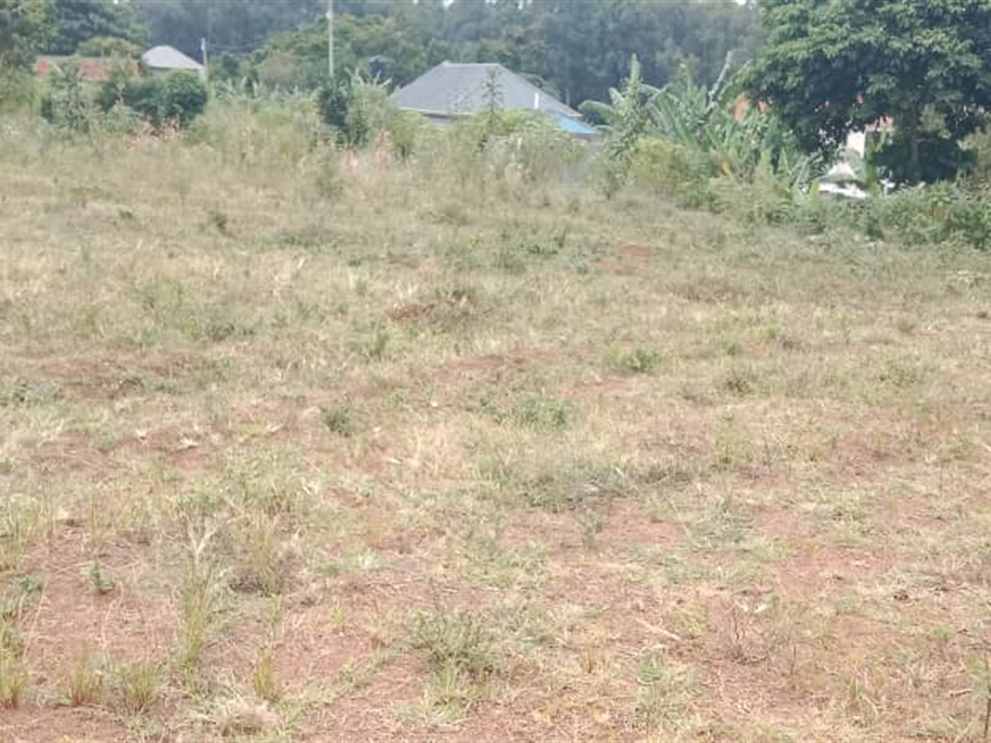 Residential Land for sale in Janyi Wakiso