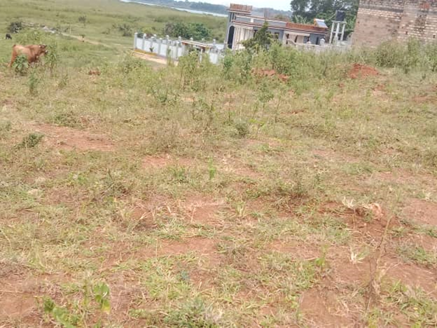 Residential Land for sale in Janyi Wakiso