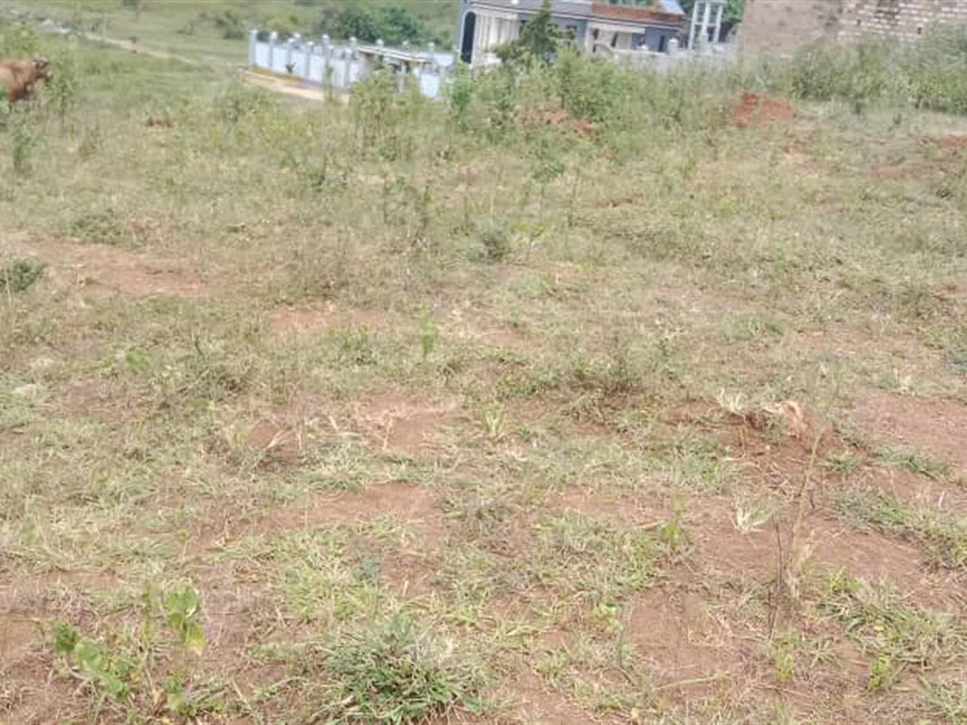 Residential Land for sale in Janyi Wakiso