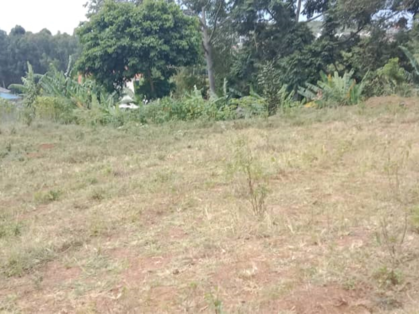 Residential Land for sale in Janyi Wakiso