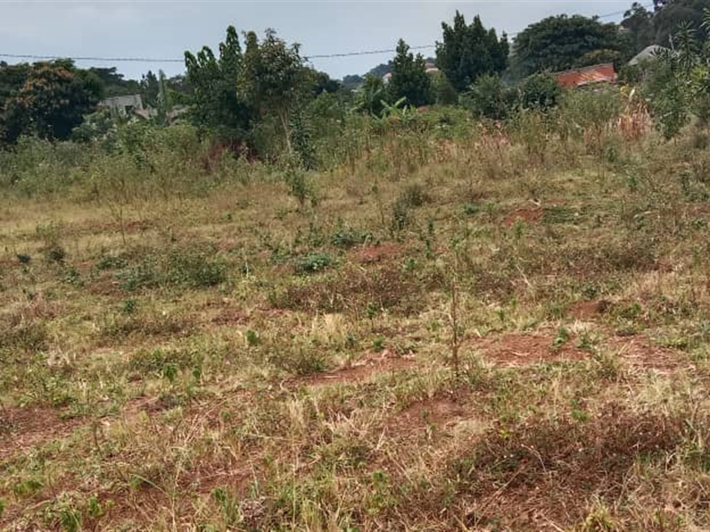 Residential Land for sale in Janyi Wakiso