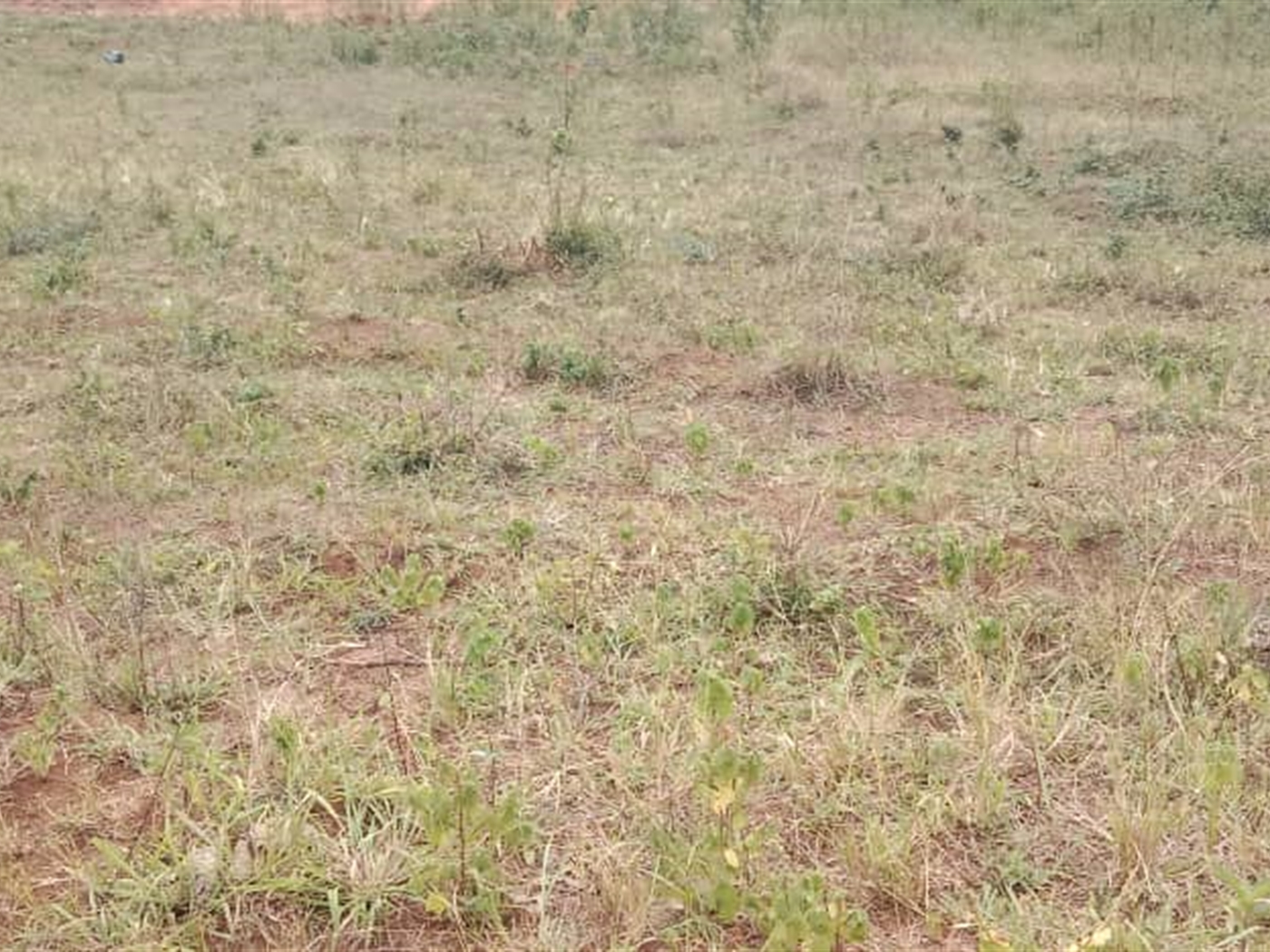 Residential Land for sale in Janyi Wakiso