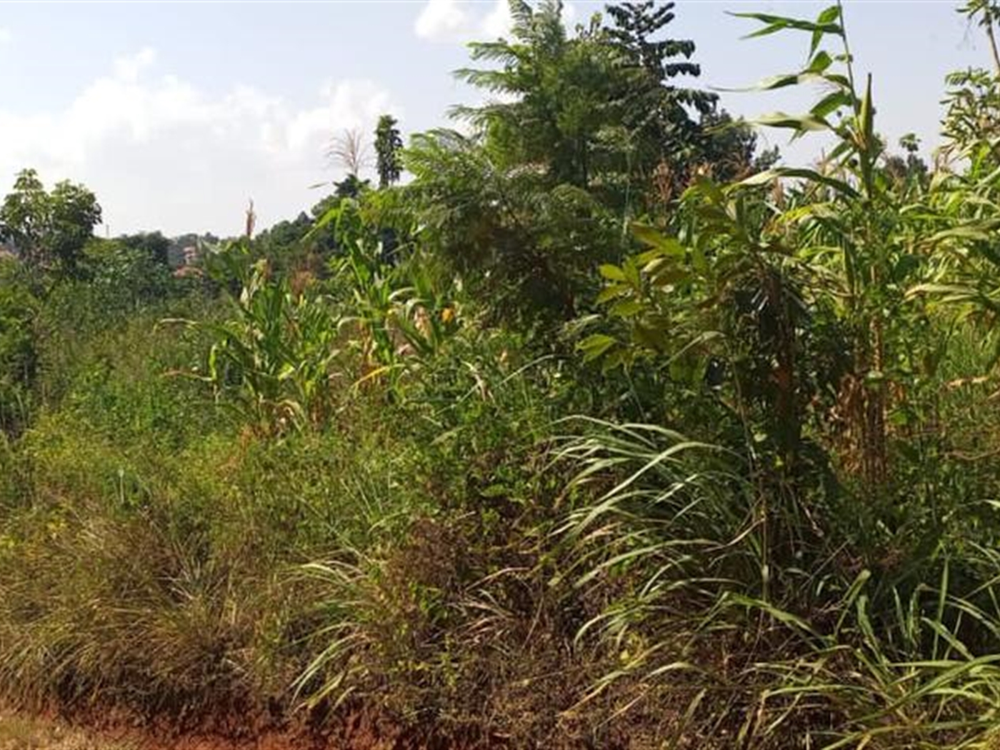 Residential Land for sale in Kulambilo Kampala