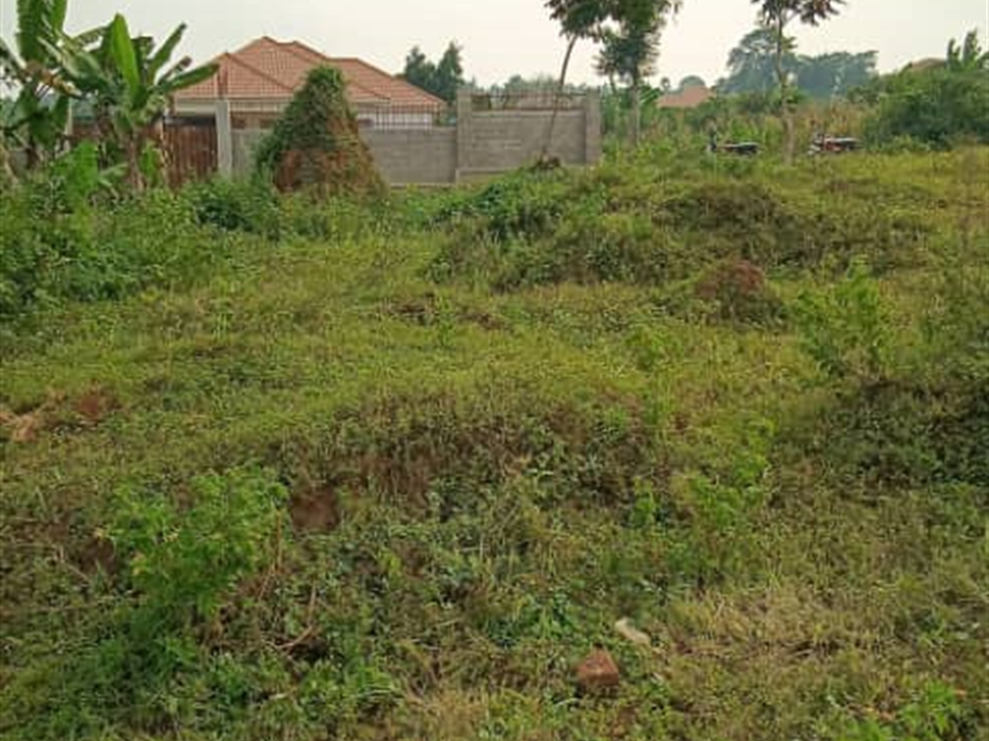 Residential Land for sale in Busukuma Wakiso