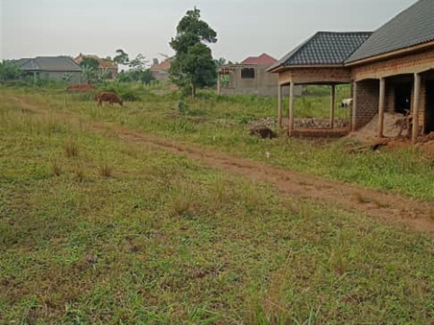 Residential Land for sale in Busukuma Wakiso