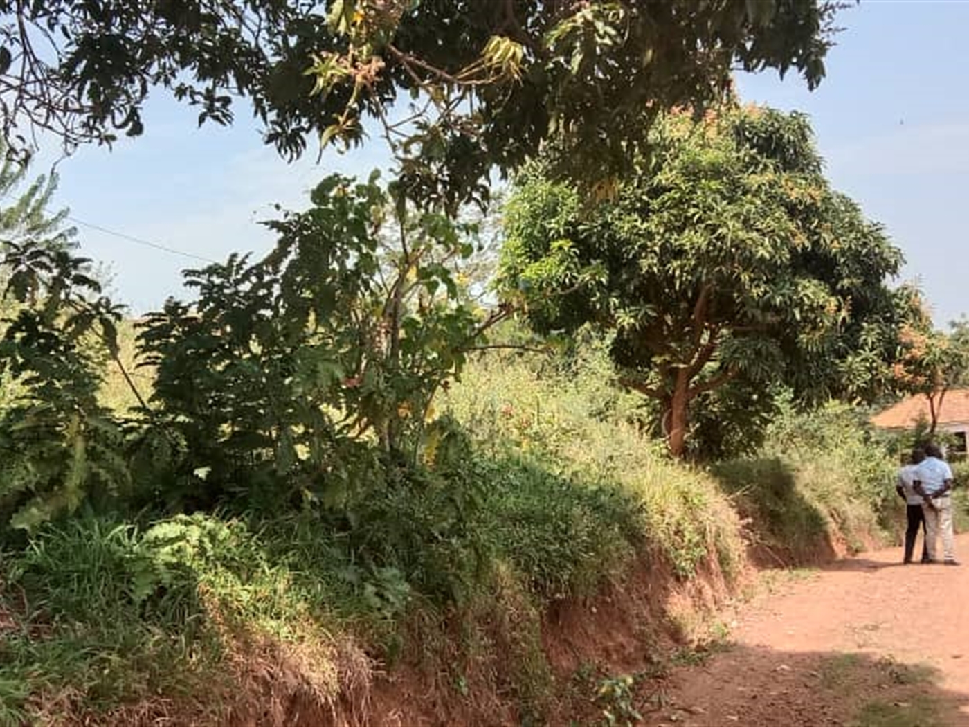 Residential Land for sale in Seguku Wakiso