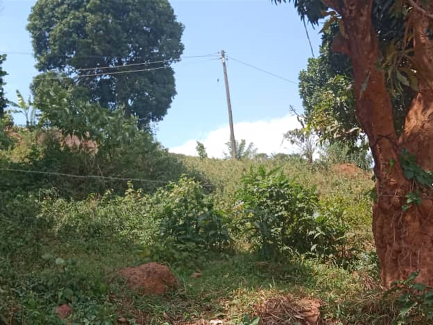 Residential Land for sale in Seguku Wakiso