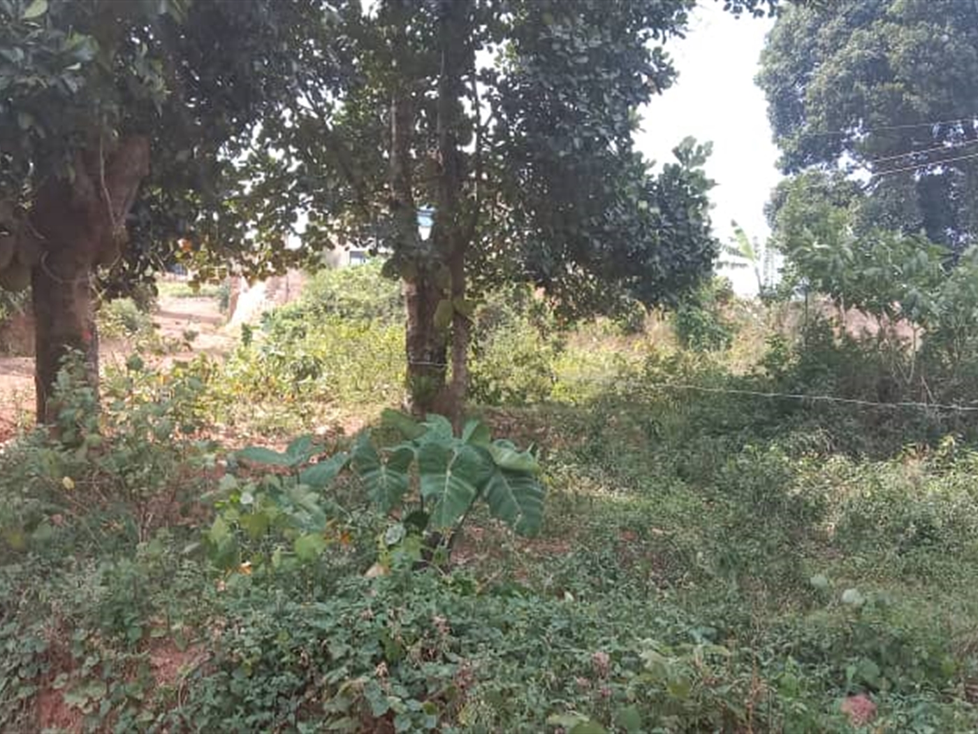 Residential Land for sale in Seguku Wakiso