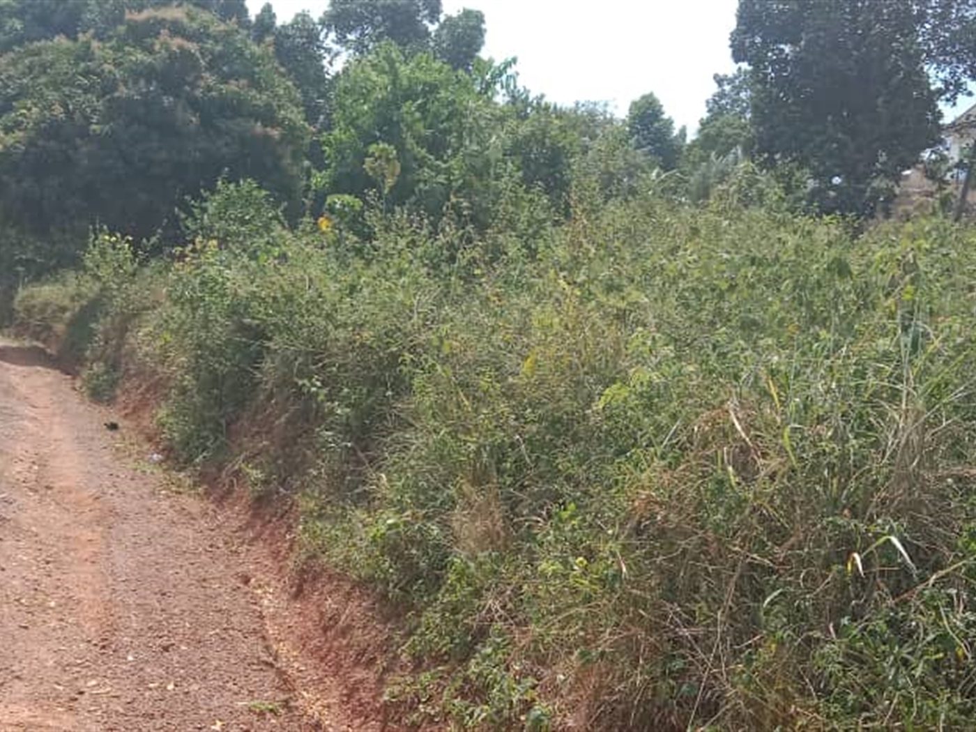 Residential Land for sale in Seguku Wakiso