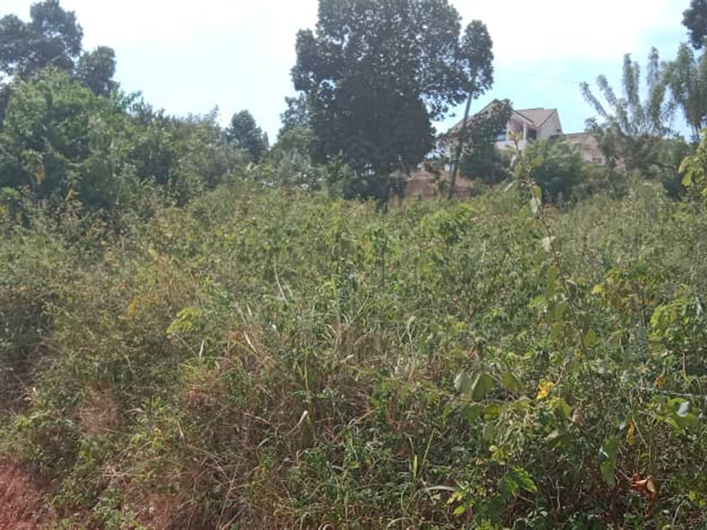 Residential Land for sale in Seguku Wakiso