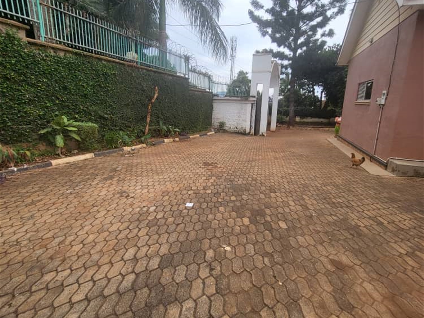 Bungalow for sale in Muyenga Kampala