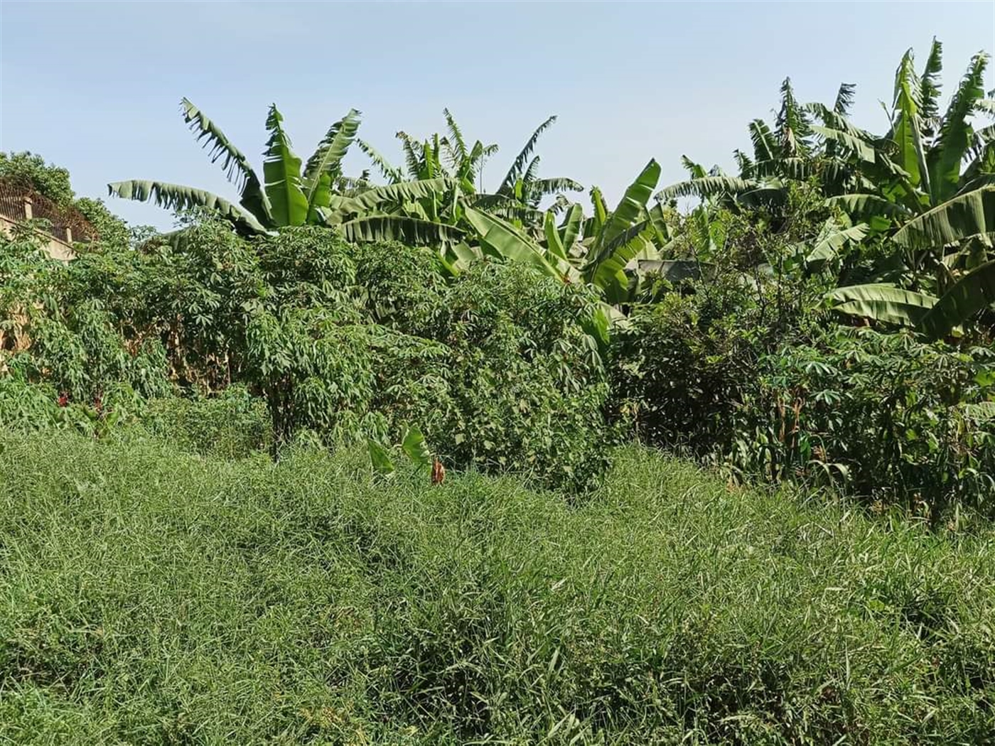 Residential Land for sale in Najjera Kampala