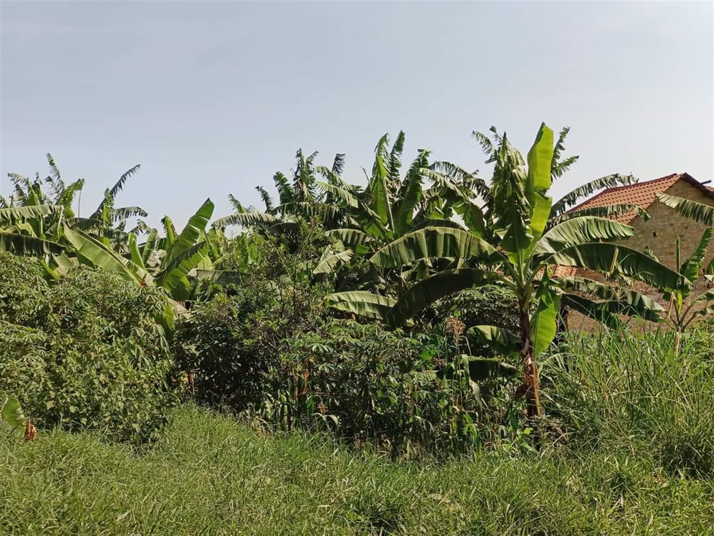 Residential Land for sale in Najjera Kampala