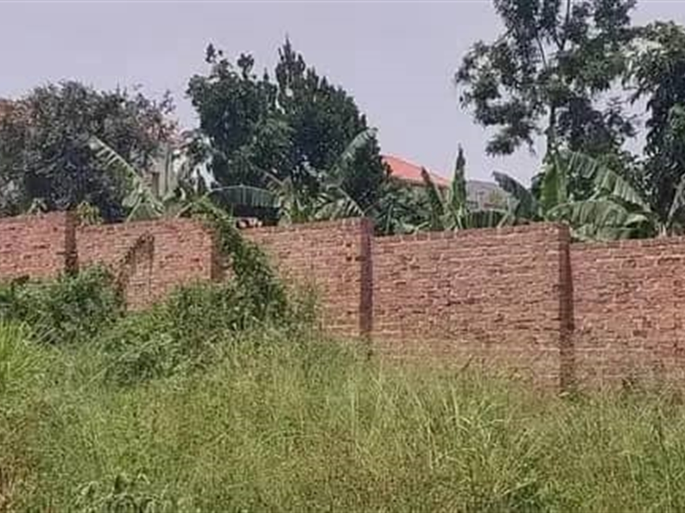 Residential Land for sale in Kakiri Wakiso