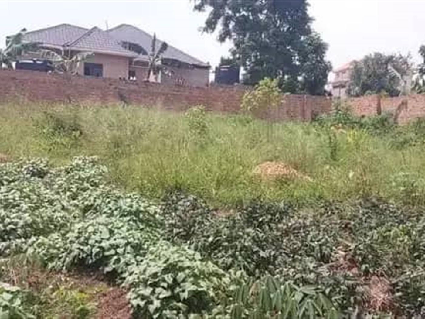 Residential Land for sale in Kakiri Wakiso