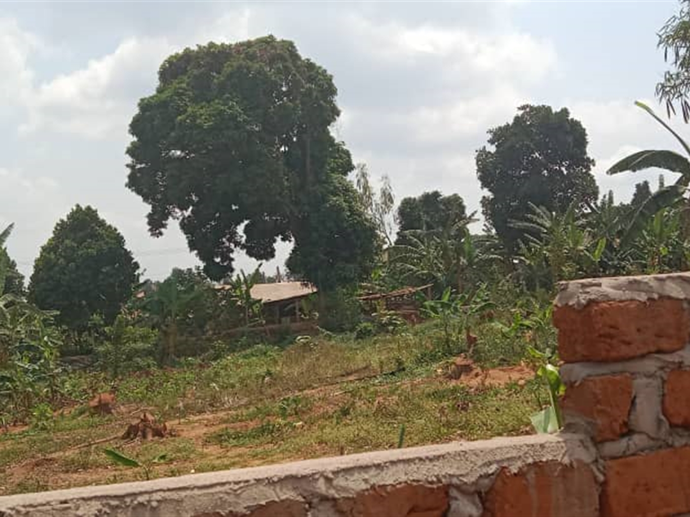 Residential Land for sale in Kisaasi Kampala