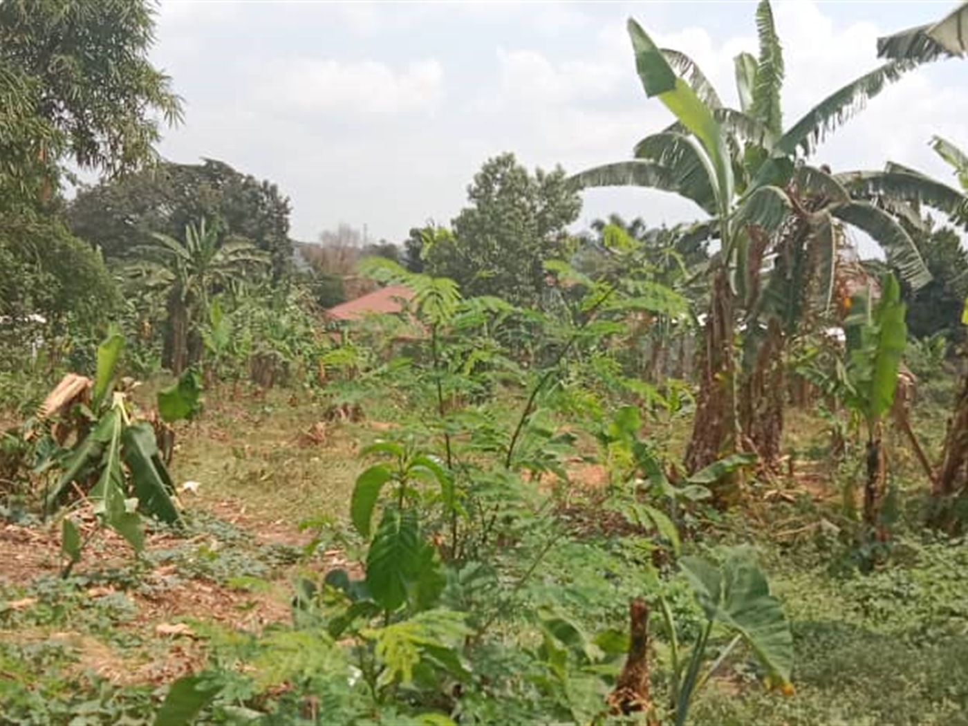 Residential Land for sale in Kisaasi Kampala