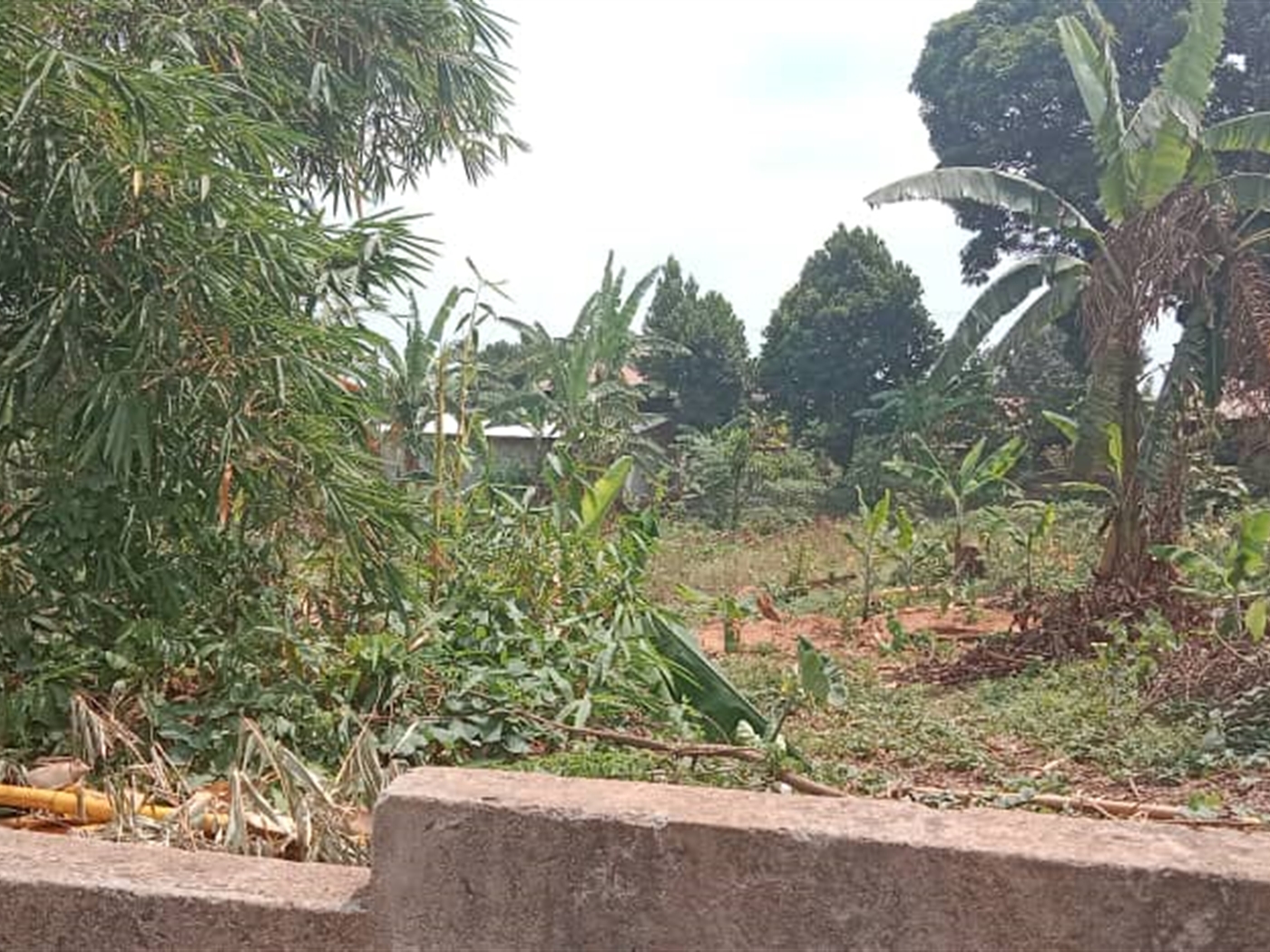 Residential Land for sale in Kisaasi Kampala