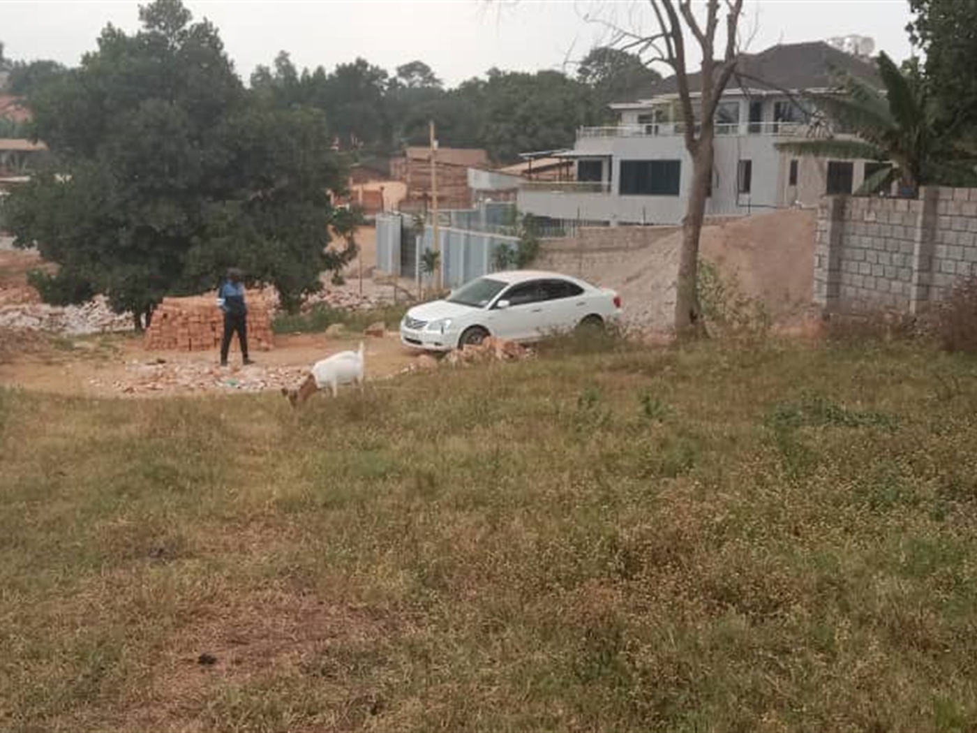 Residential Land for sale in Kisaasi Kampala