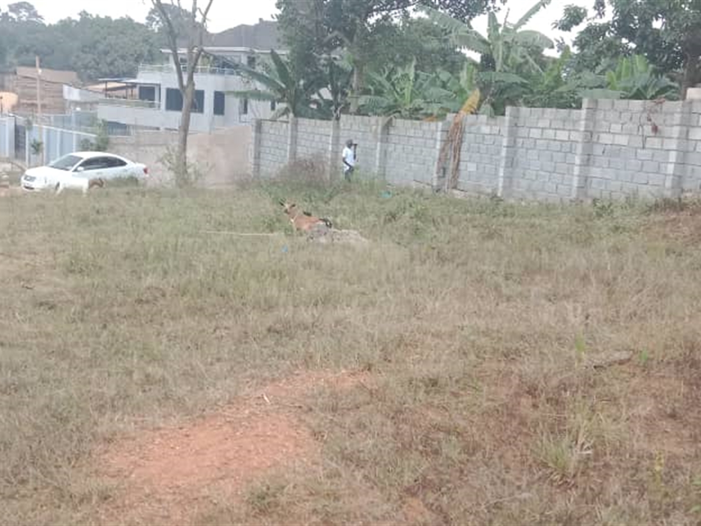 Residential Land for sale in Kisaasi Kampala