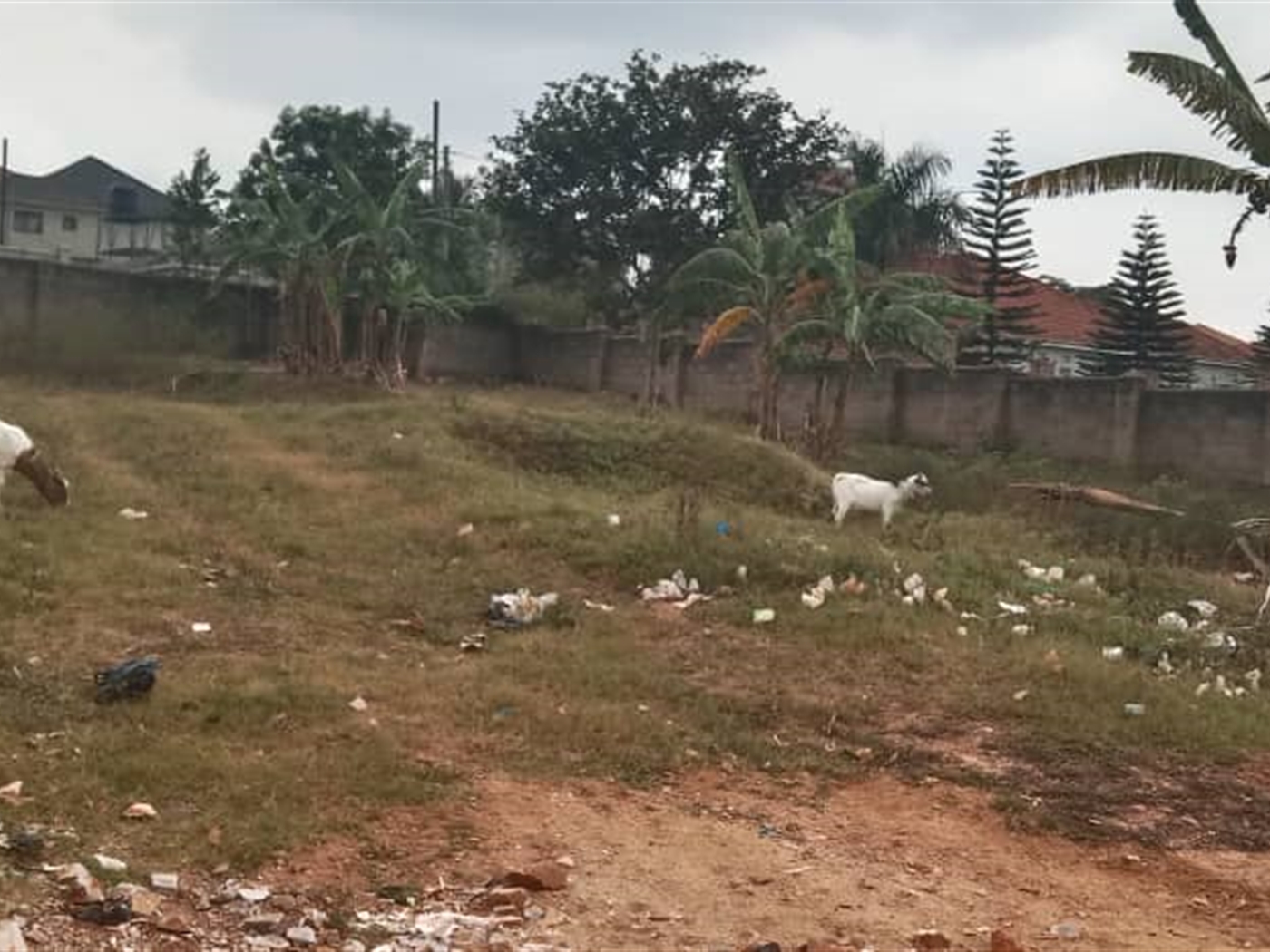 Residential Land for sale in Kisaasi Kampala