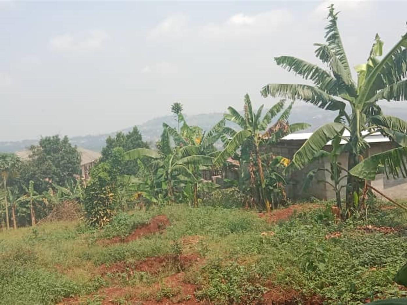 Residential Land for sale in Akright Wakiso