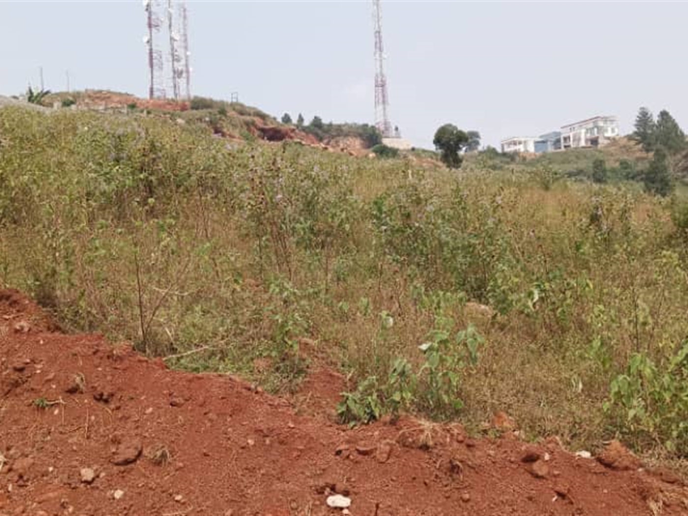 Residential Land for sale in Lutembe Wakiso