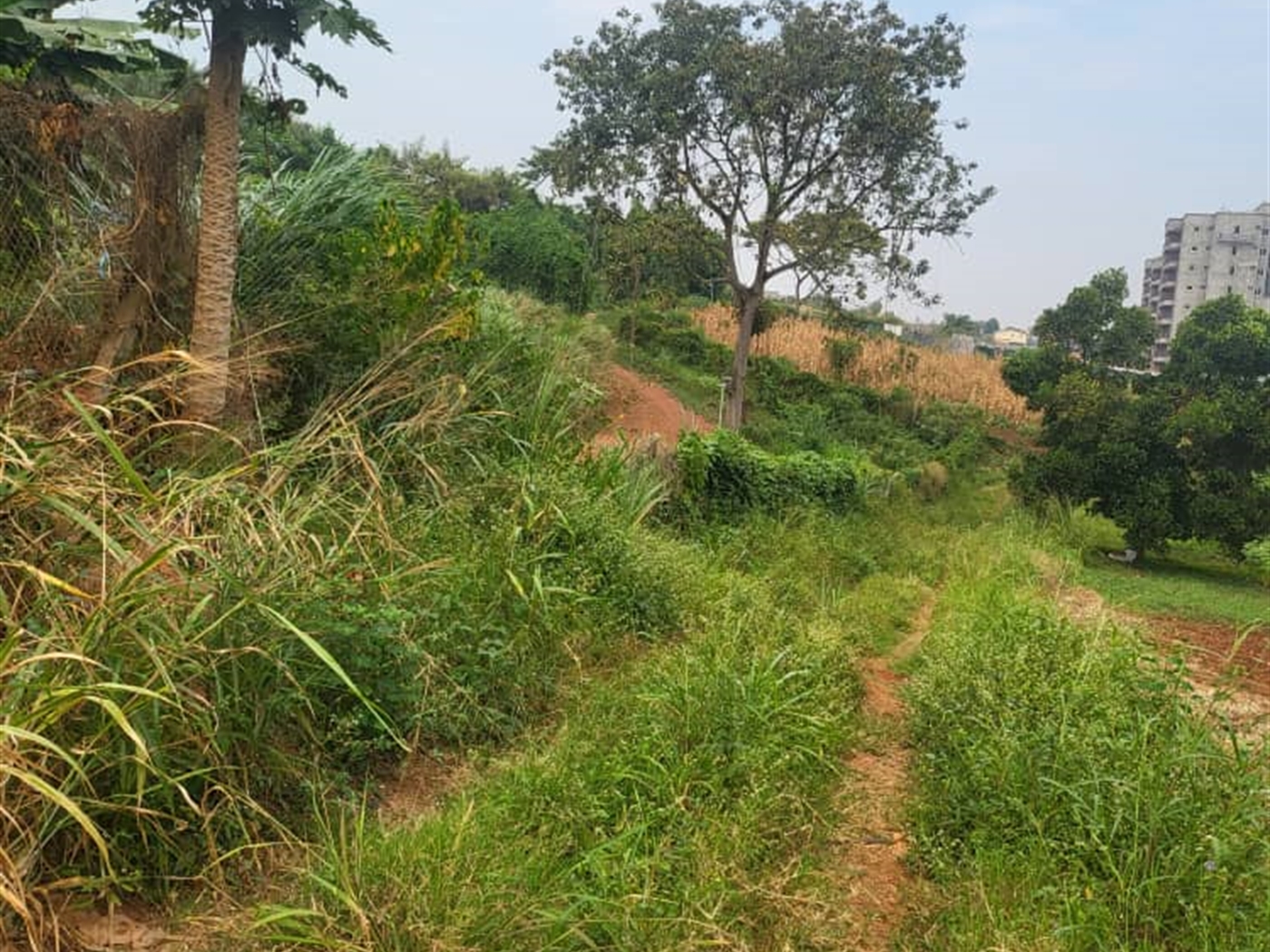 Residential Land for sale in Lubowa Wakiso