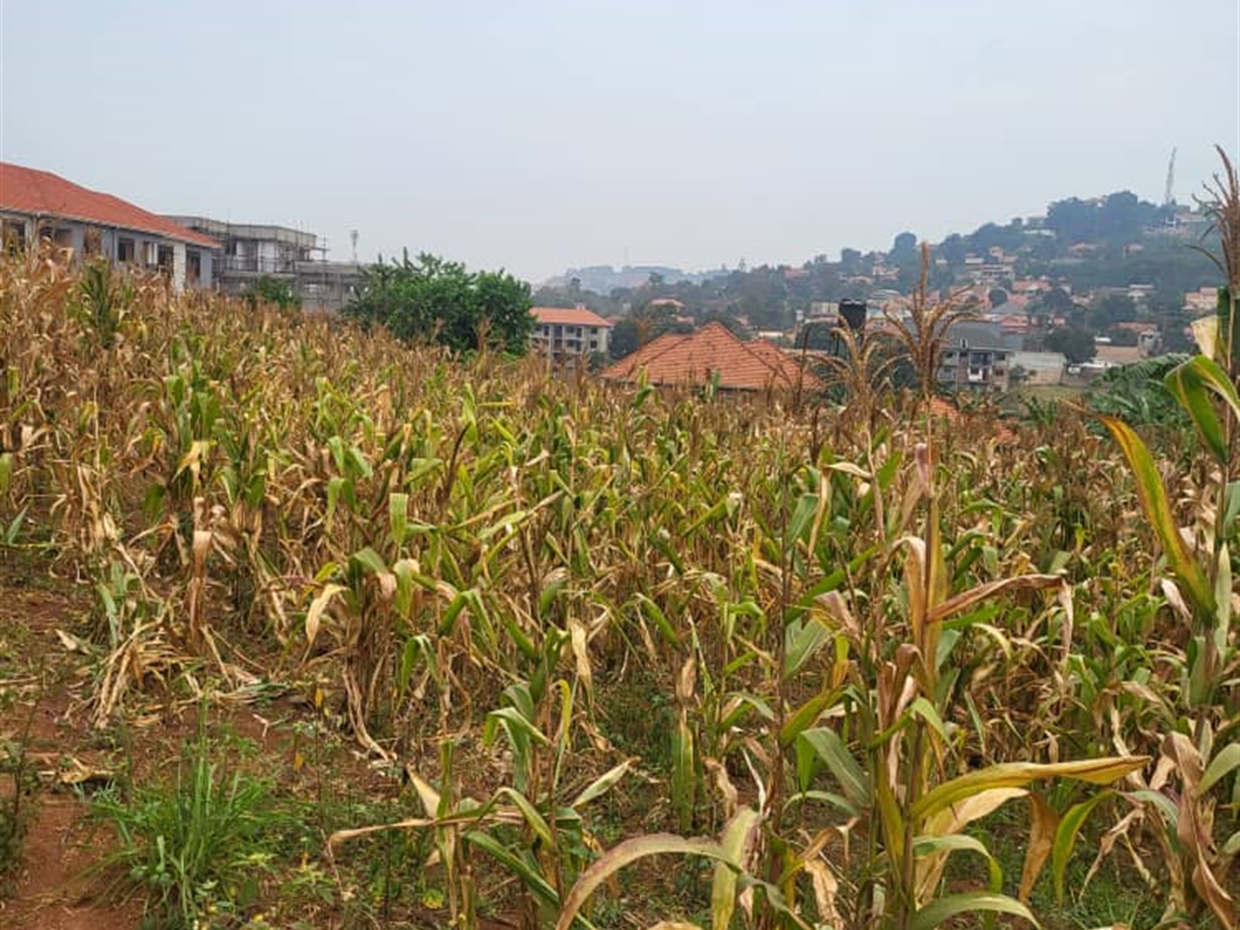 Residential Land for sale in Lubowa Wakiso