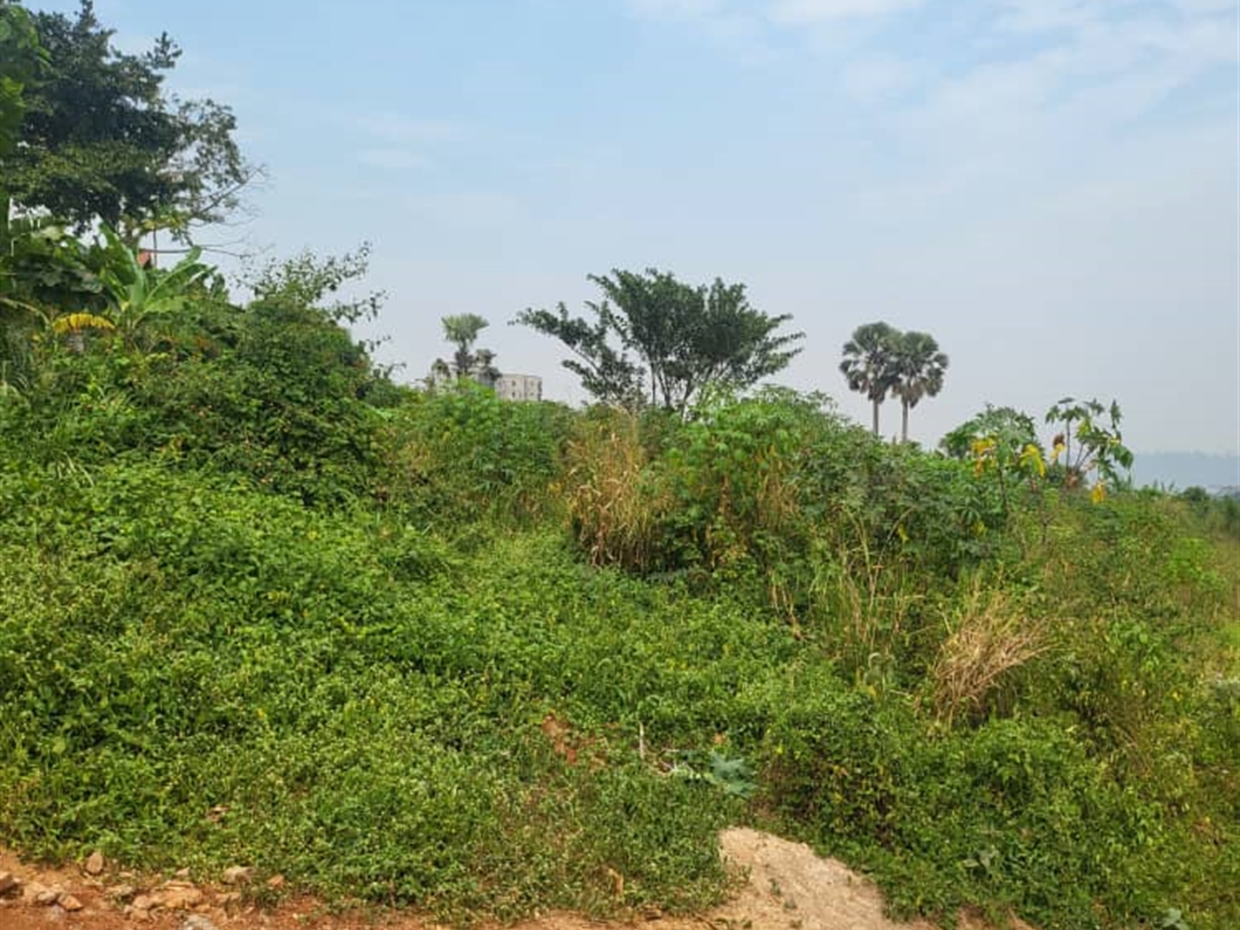 Residential Land for sale in Lubowa Wakiso