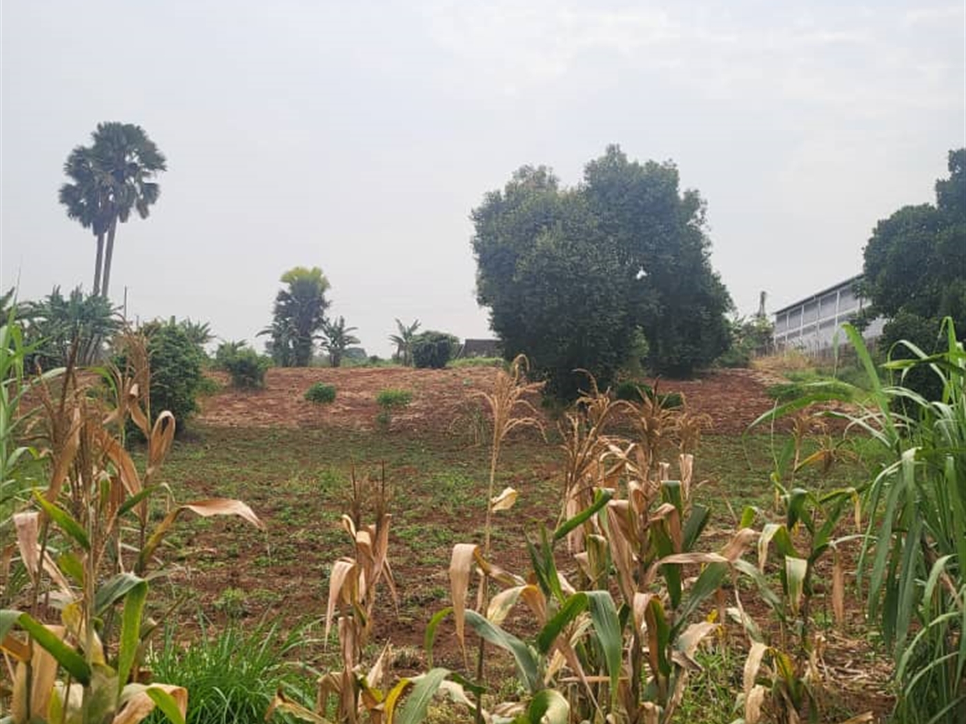 Residential Land for sale in Lubowa Wakiso