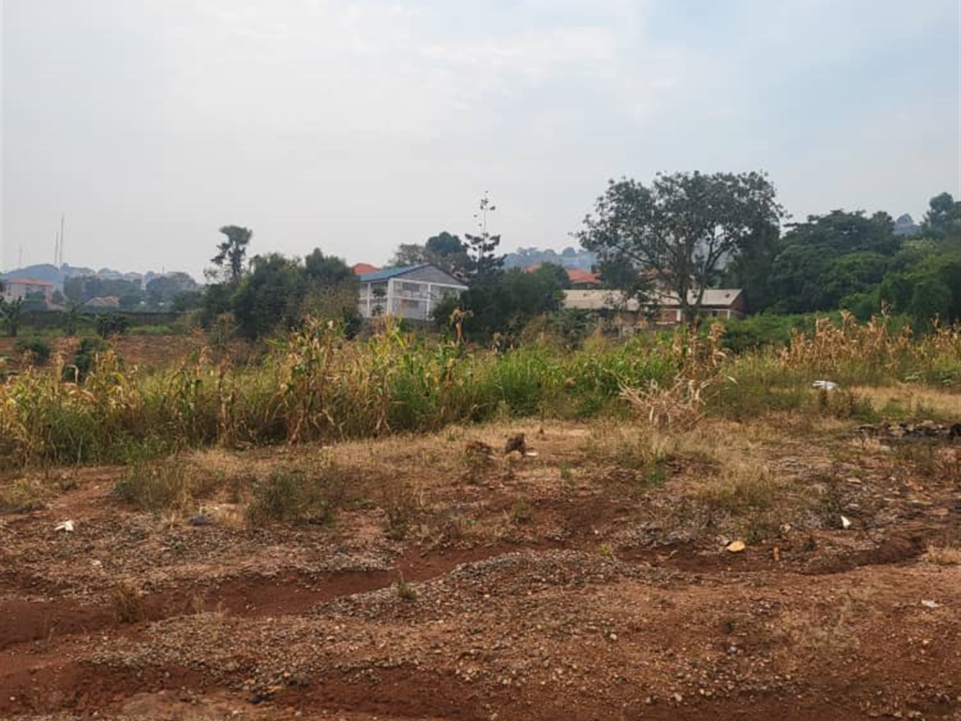 Residential Land for sale in Lubowa Wakiso