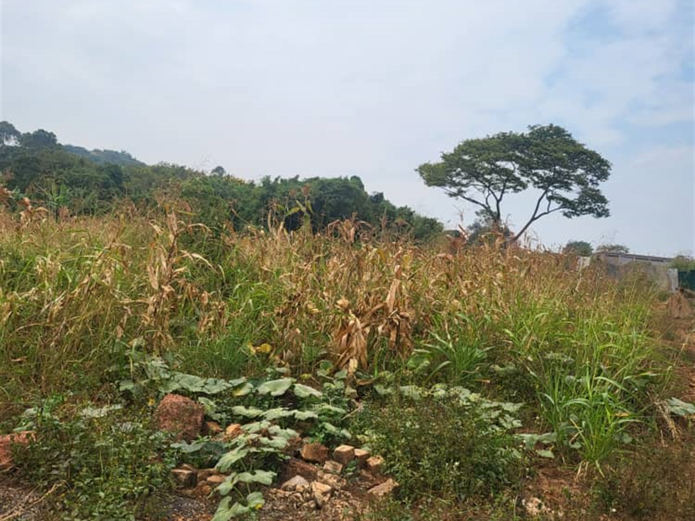 Residential Land for sale in Lubowa Wakiso