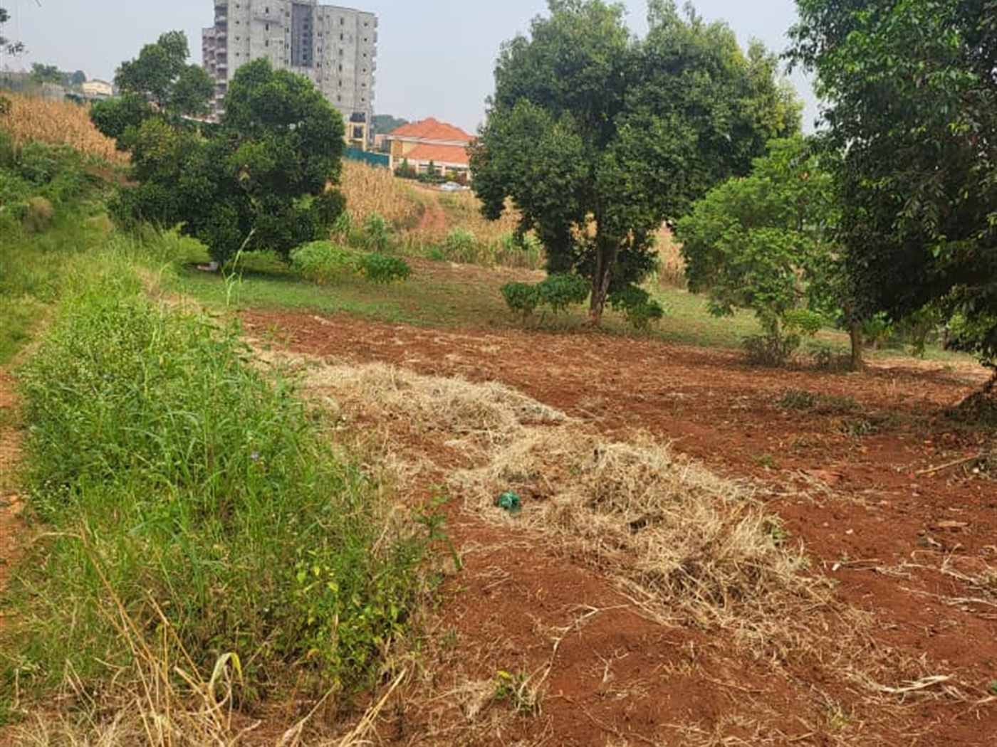 Residential Land for sale in Lubowa Wakiso