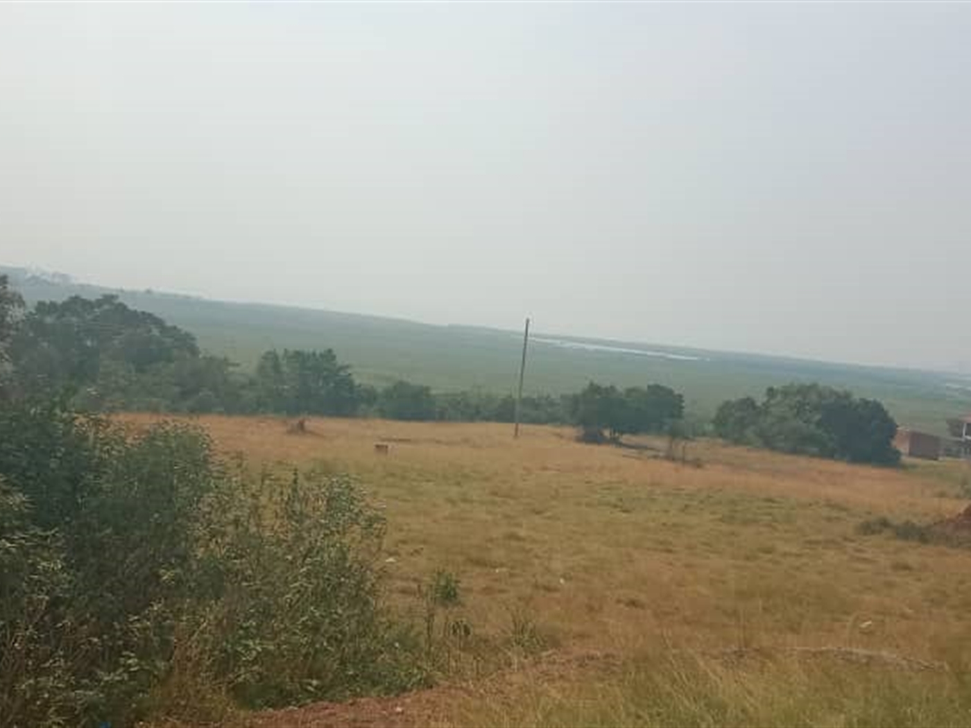 Residential Land for sale in Lutembe Wakiso