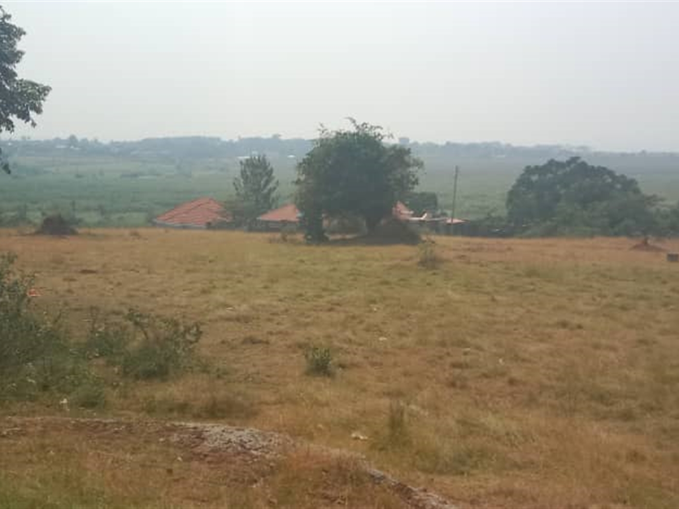 Residential Land for sale in Lutembe Wakiso