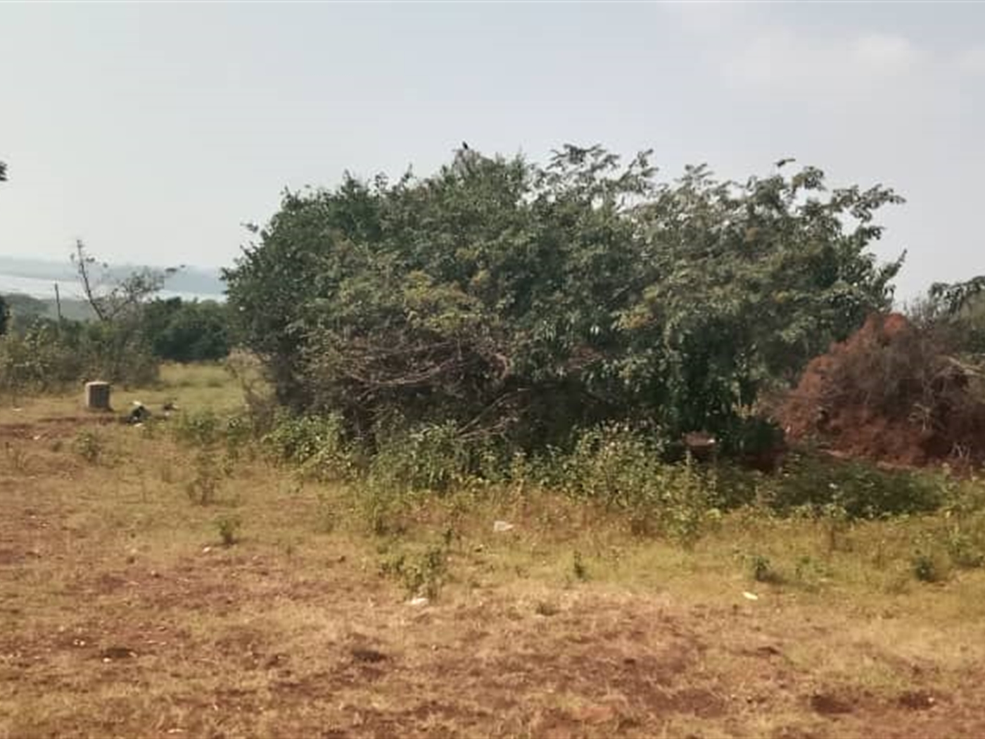 Residential Land for sale in Lutembe Wakiso