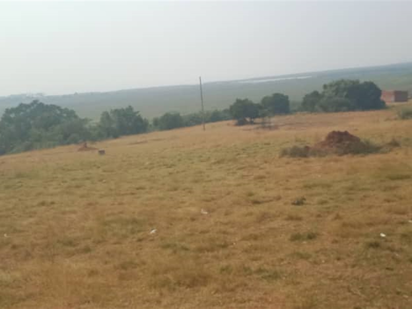 Residential Land for sale in Lutembe Wakiso