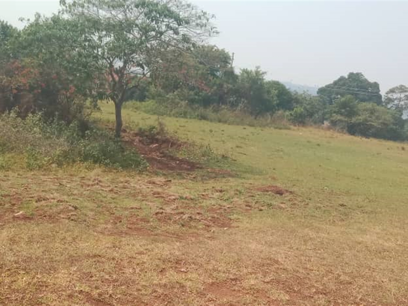 Residential Land for sale in Lutembe Wakiso