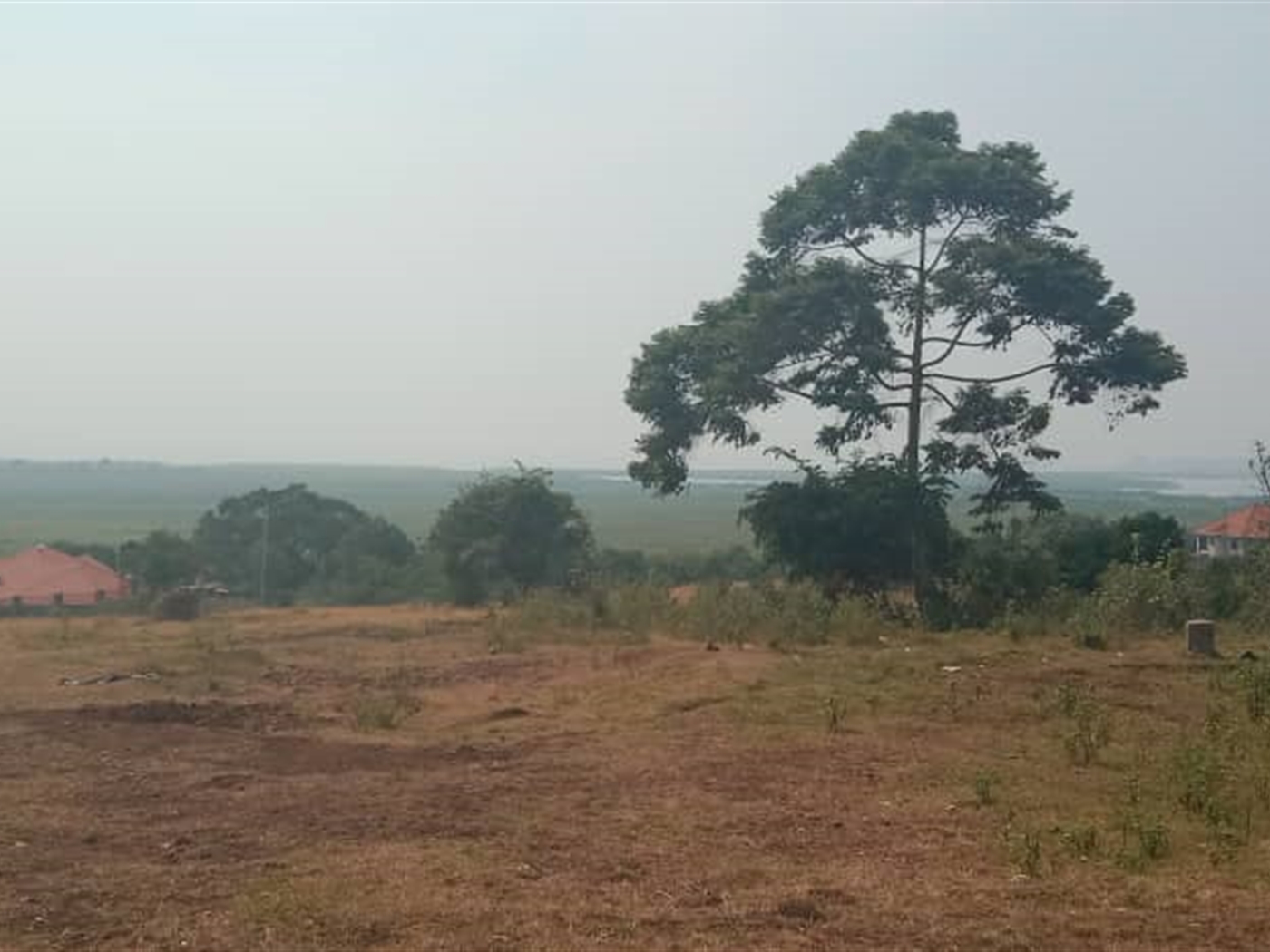 Residential Land for sale in Lutembe Wakiso